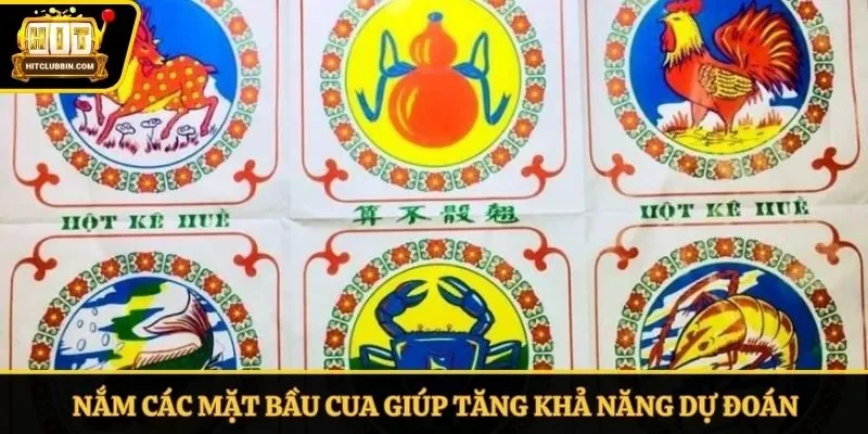 Nắm các mặt bầu cua giúp tăng khả năng dự đoán