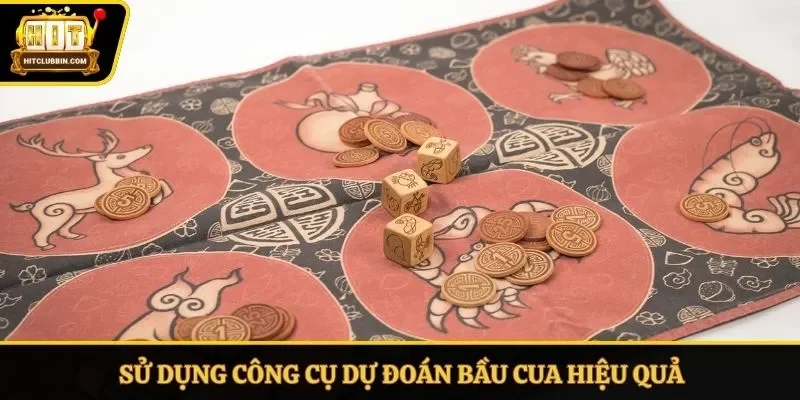 Sử dụng công cụ dự đoán bầu cua hiệu quả