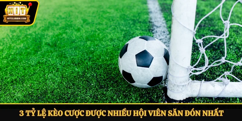 3 tỷ lệ kèo cược được nhiều hội viên săn đón nhất